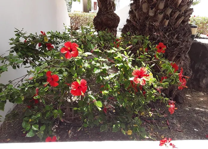 Le Farniente * 科斯塔特吉塞