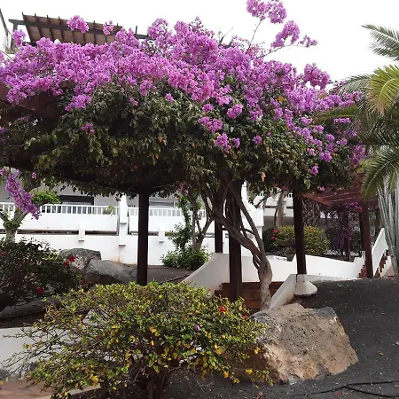 Apartamento Le Farniente